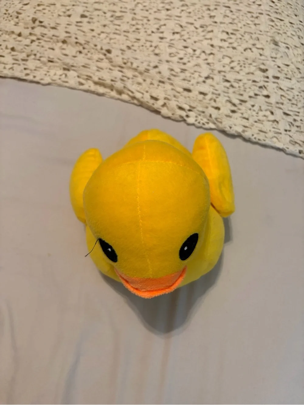 N/A ducky wonderland